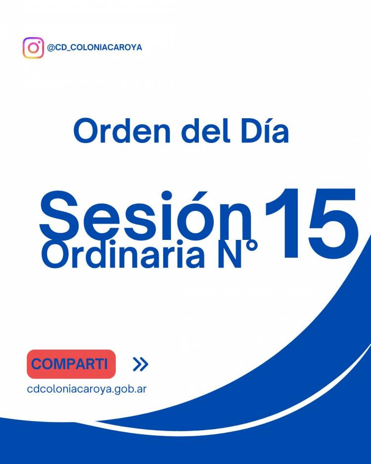 Resumen de la Sesión Ordinaria N° 15